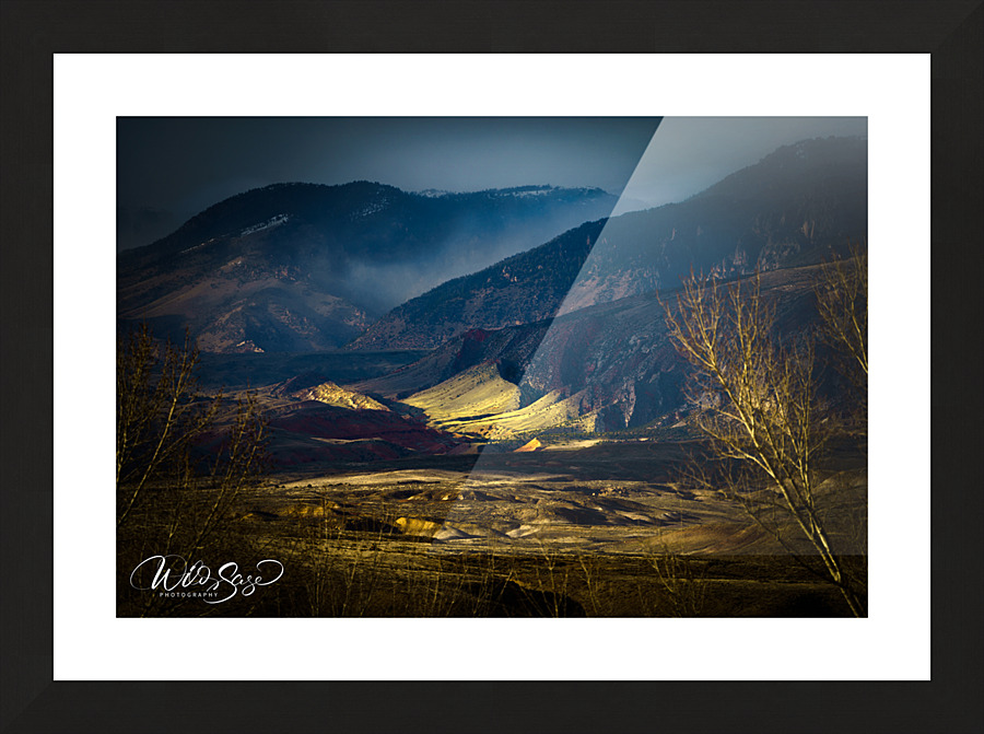  DSC2152 Picture Frame print
