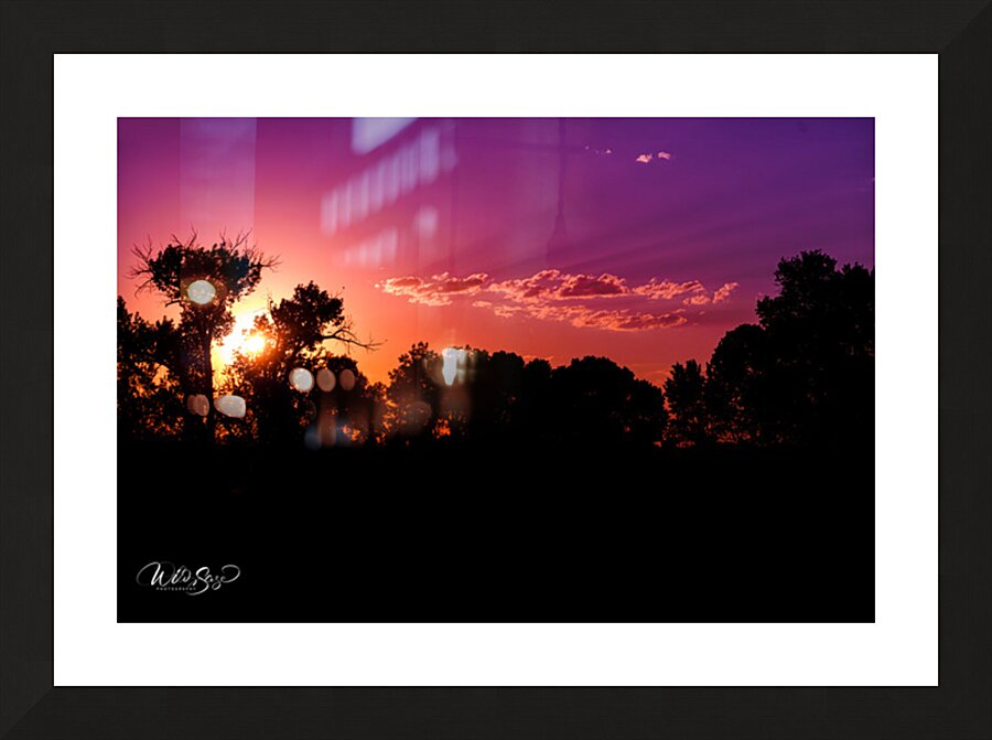 Sunset Through the Wildwoods Picture Frame print