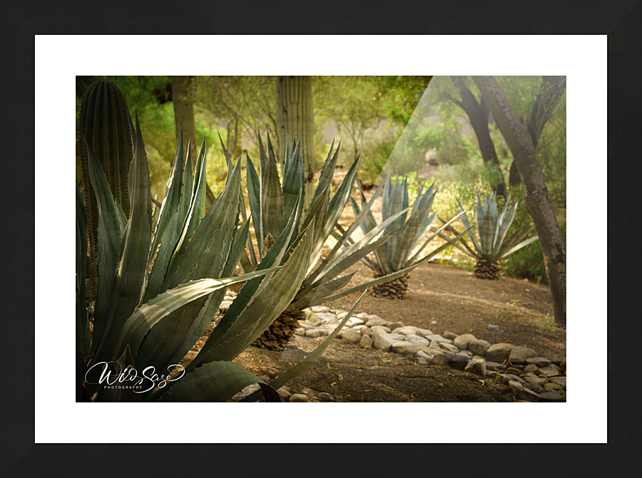 Photo 81 Picture Frame print