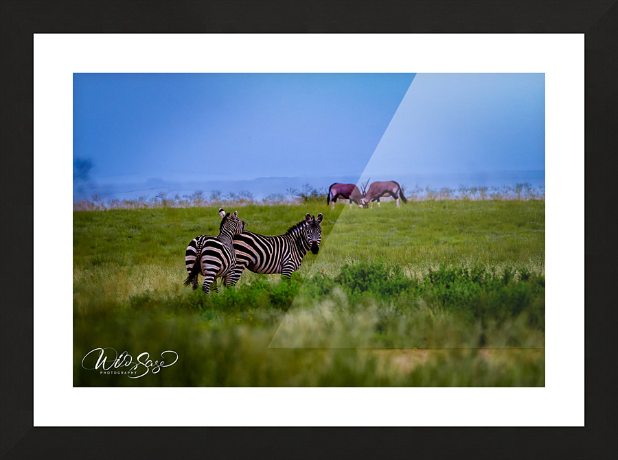 Photo 99 Picture Frame print