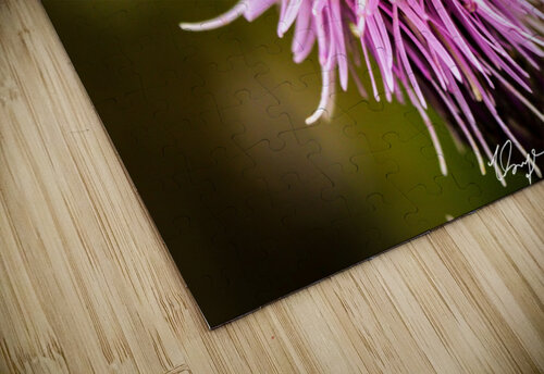Rocky Mountain Thistle Wild Sage Photography puzzle