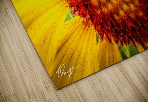 Yellow Macro Wild Sage Photography puzzle