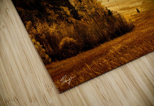 DSC00542 Wild Sage Photography puzzle