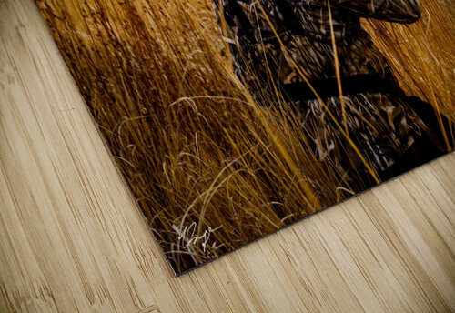 DSC01414 Wild Sage Photography puzzle