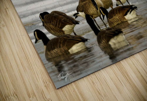  DSC3368 Wild Sage Photography puzzle