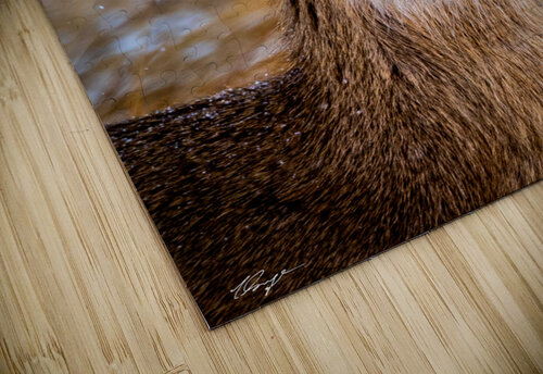  DSC0280 Wild Sage Photography puzzle