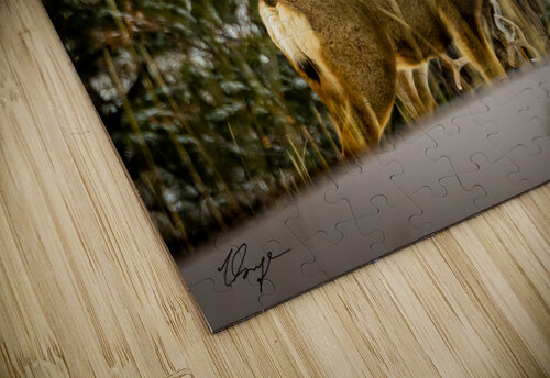 Buck Wild Sage Photography puzzle