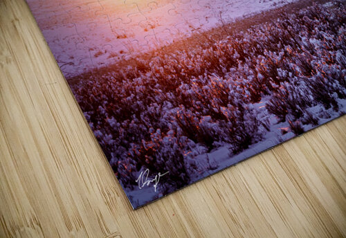  DSC1488 2 Wild Sage Photography puzzle
