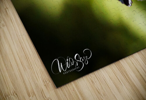 Photo 11 Wild Sage Photography puzzle