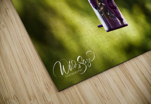 Photo 12 Wild Sage Photography puzzle