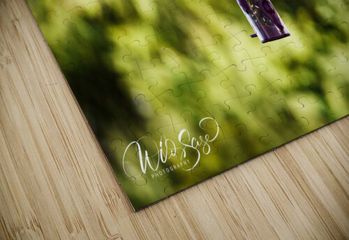 Photo 14 Wild Sage Photography puzzle