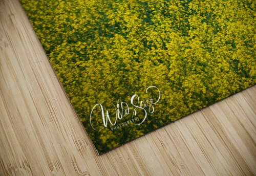 Photo 71 Wild Sage Photography puzzle