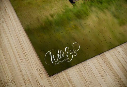 Photo 100 Wild Sage Photography puzzle