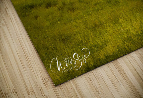Photo 106 Wild Sage Photography puzzle