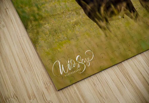 The Silent Watch Wild Sage Photography puzzle