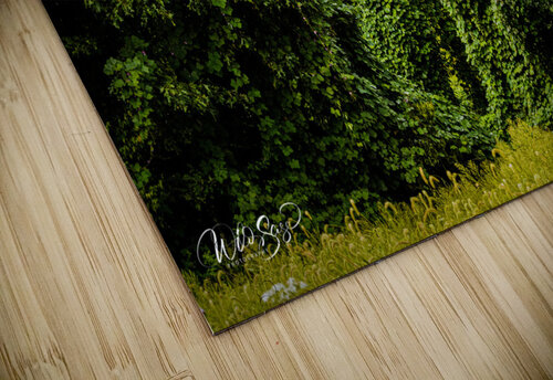 Photo 149 Wild Sage Photography puzzle