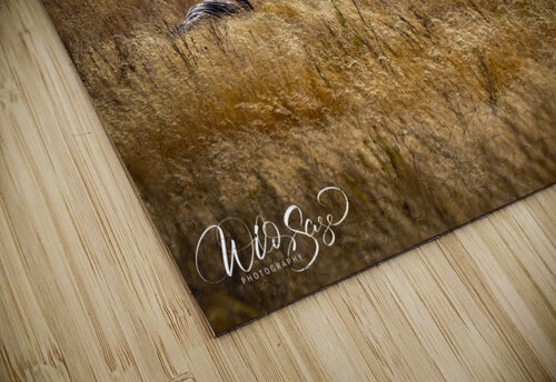 Photo 171 Wild Sage Photography puzzle