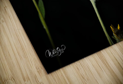 Photo 264 Wild Sage Photography puzzle