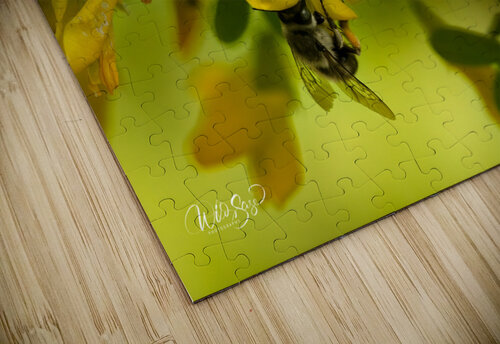 Photo 259 Wild Sage Photography puzzle