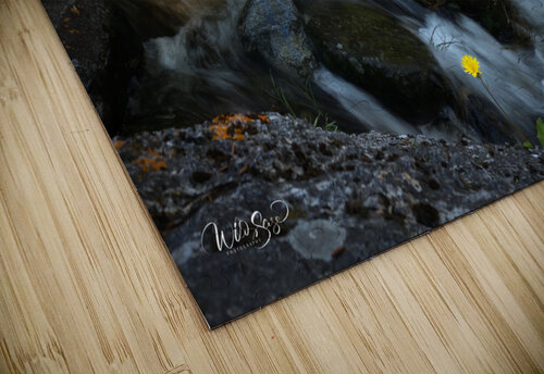 Photo 266 Wild Sage Photography puzzle