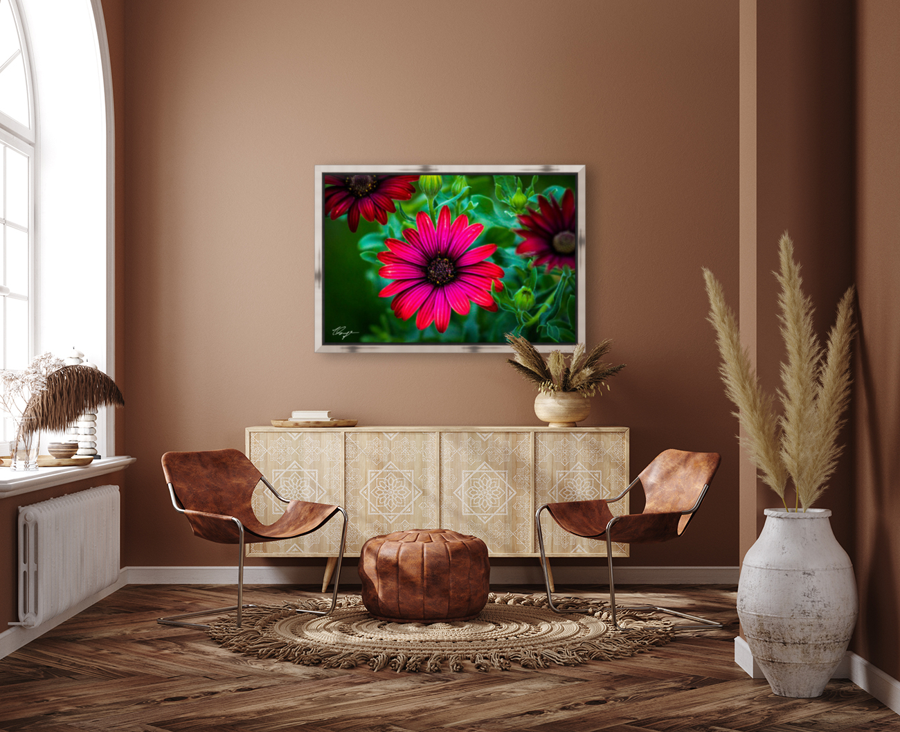 African Daisy Reproduction