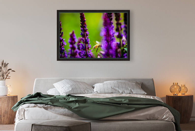 Where the Wild Things Bloom by Wild Sage Photography