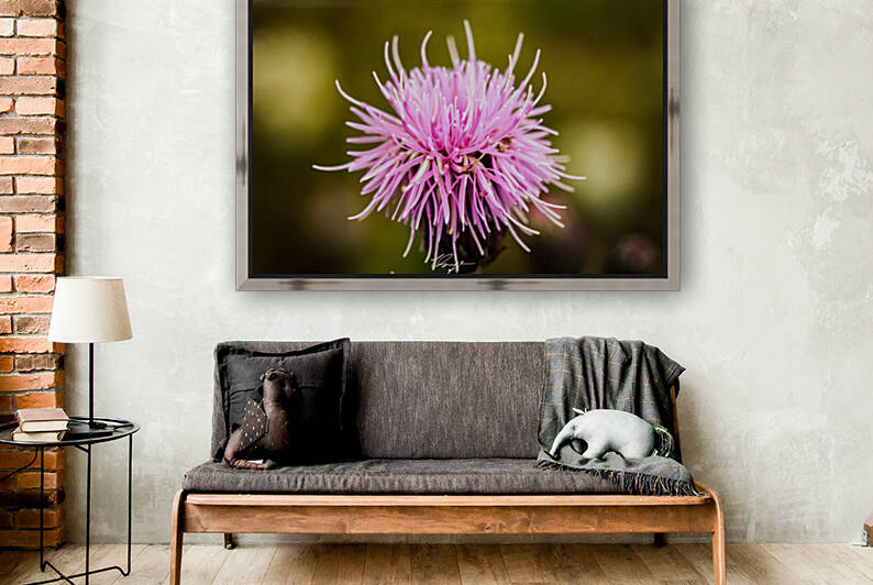 Rocky Mountain Thistle by Wild Sage Photography