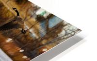 Photo 06 HD Metal print