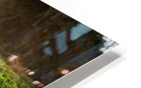Photo 25 HD Metal print