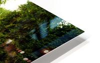 Photo 36 HD Metal print