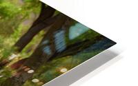 Photo 81 HD Metal print