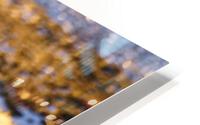 Photo 95 HD Metal print
