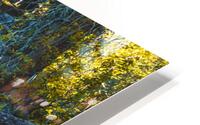 Photo 10 HD Metal print