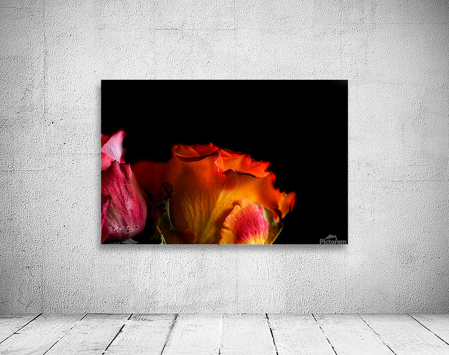 Fire in Bloom Wall Preview