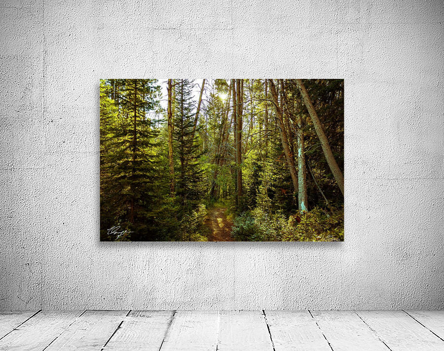 Photo 76 Wall Preview