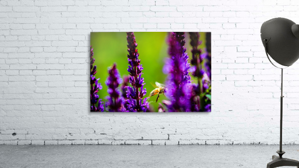 Where the Wild Things Bloom Wall Preview