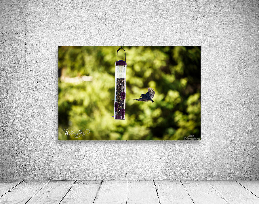 Photo 13 Wall Preview