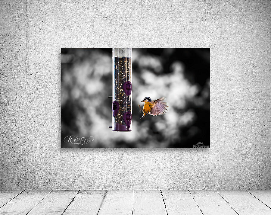 Photo 19 Wall Preview