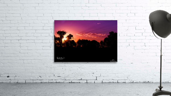 Sunset Through the Wildwoods Wall Preview