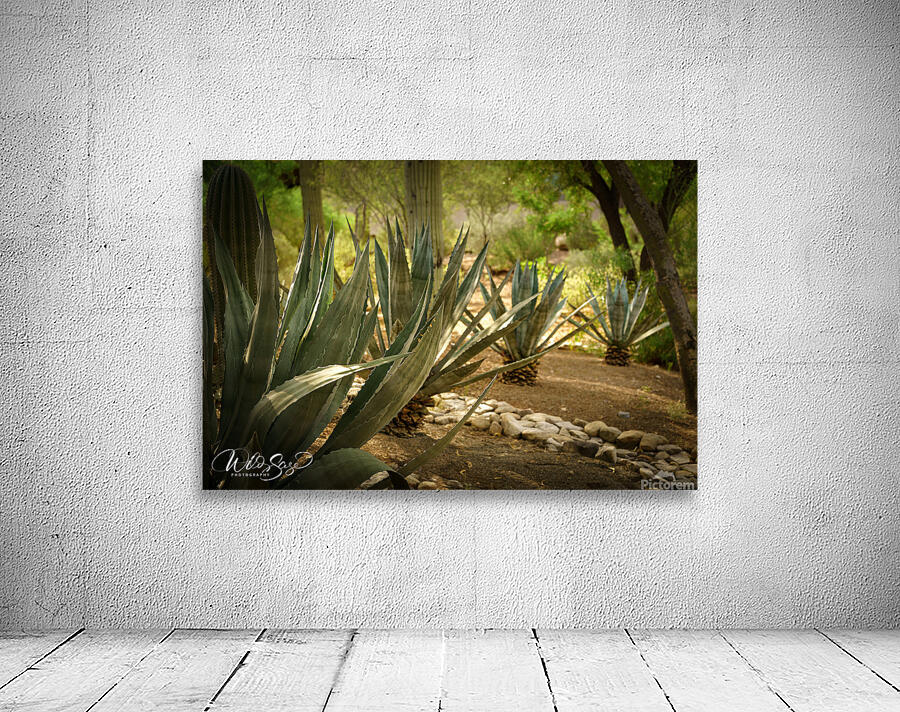 Photo 81 Wall Preview