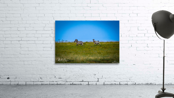 Photo 98 Wall Preview