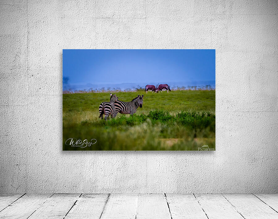 Photo 99 Wall Preview