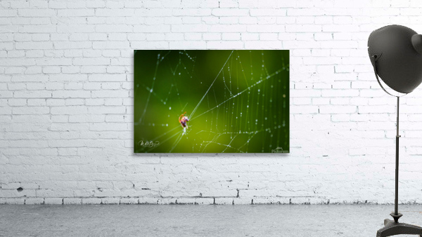 Photo 147 Wall Preview