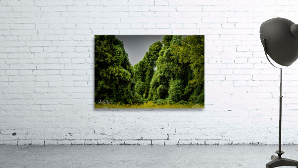 Photo 149 Wall Preview