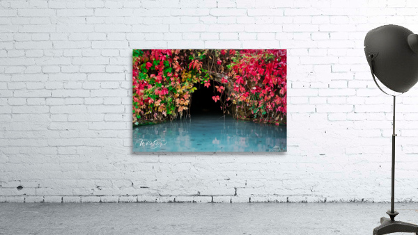 Photo 153 Wall Preview