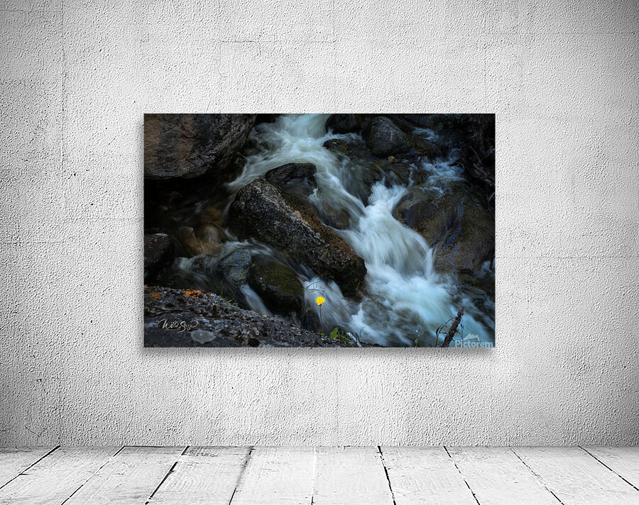 Photo 266 Wall Preview