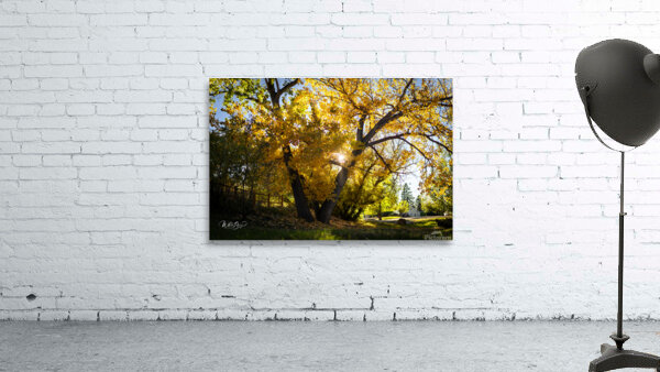 Photo 127 Wall Preview