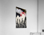 champloo samurai swords Acrylic Print