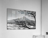 japan uji maountain nature Acrylic Print