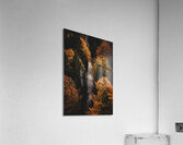 path fall hike leaves forest Acrylic Print